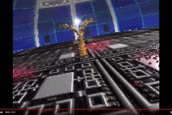 dw2-13